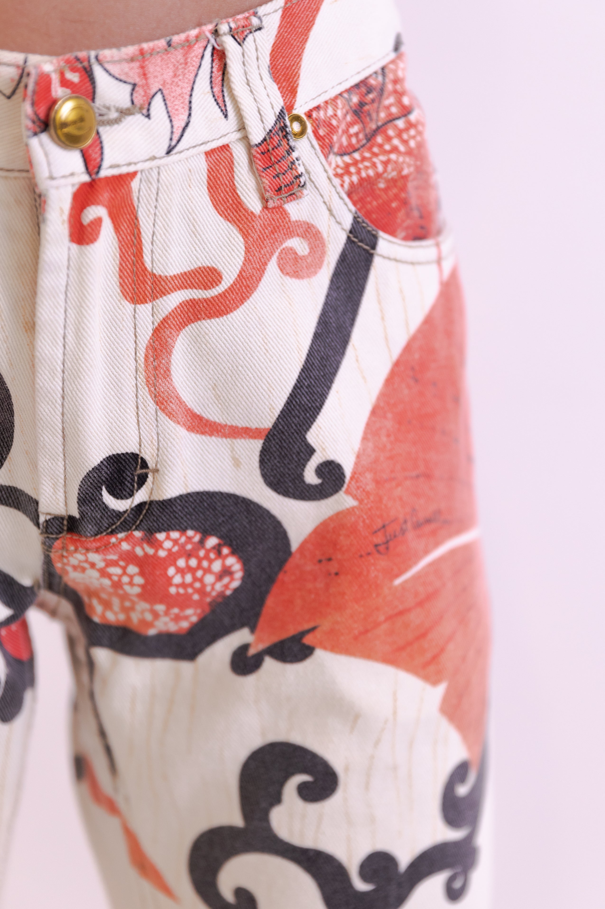 Roberto Cavalli <br> Y2K low-waisted graphic print jeans